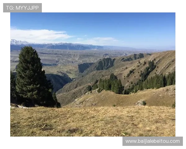 bg大游真人登录线路官网提供最稳定的登录通道保障玩家畅玩体验